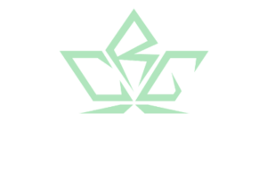 rcg-corporate-clothing-branding-solutions-website-logo-httpsrcggreenupholstery.co.za